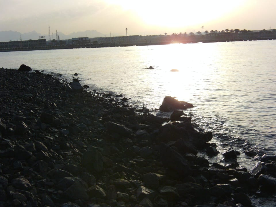 Sehr steinig Pickalbatros Dana Beach Resort - Hurghada
