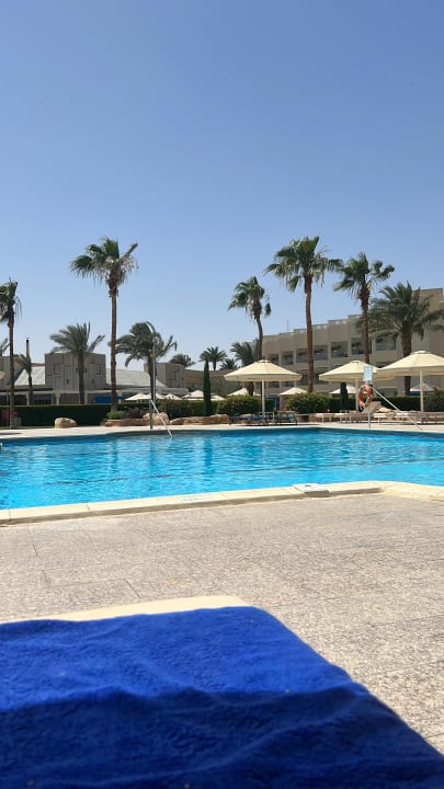 Pool Beach Albatros Resort