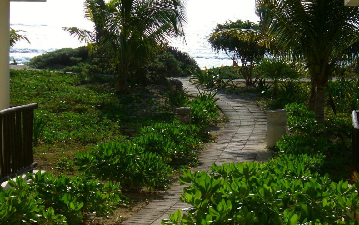 Weg zum Strand von Haus 7 Akumal Bay Beach & Wellness Resort