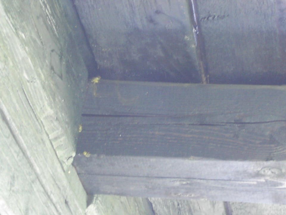 Balkon Naturel Hoteldorf Schönleitn