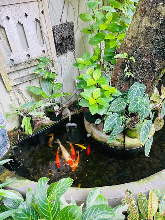 Gartenanlage Kembali Lagi Guest House
