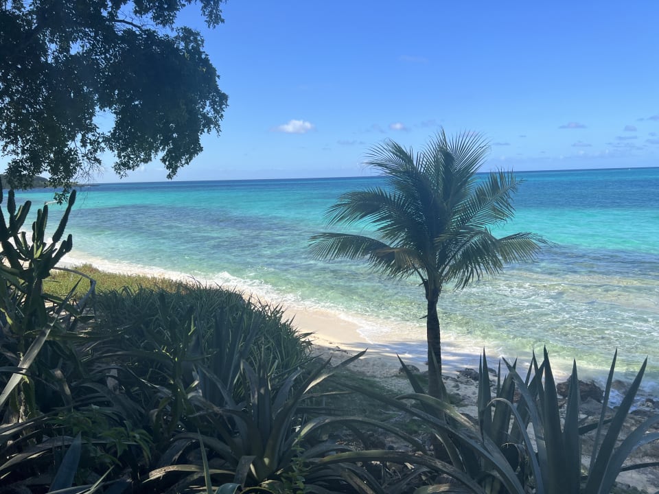 Strand Paradisus Rio de Oro Resort & Spa - Adults only