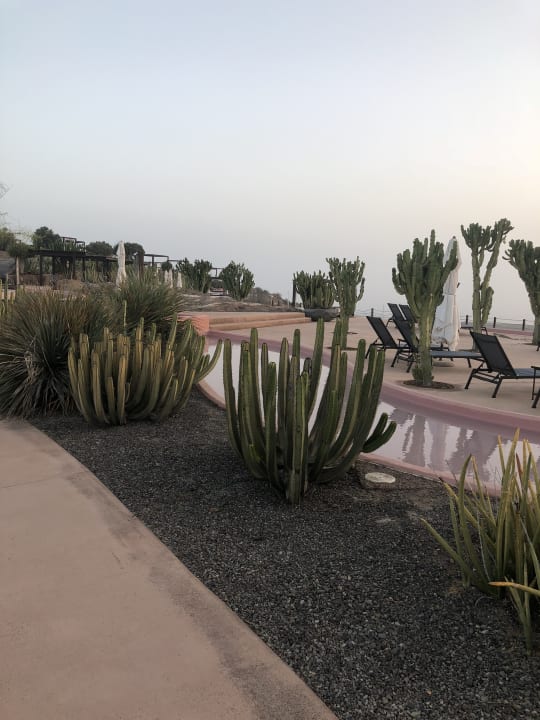 Gartenanlage Salobre Hotel Resort & Serenity