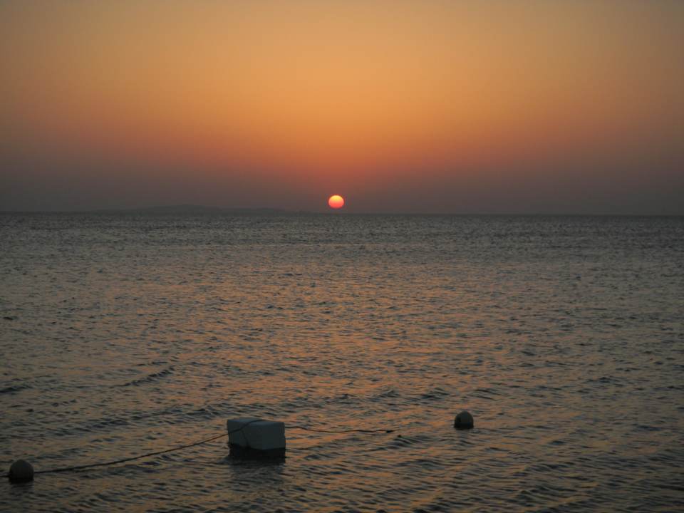 Sonnenaufgang Pickalbatros Palace Resort