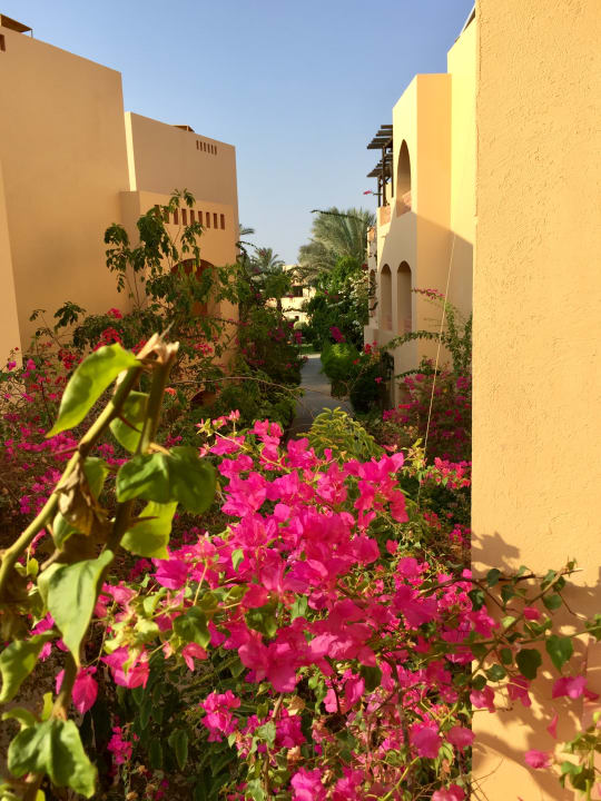 Gartenanlage Steigenberger Coraya Beach - Adults only