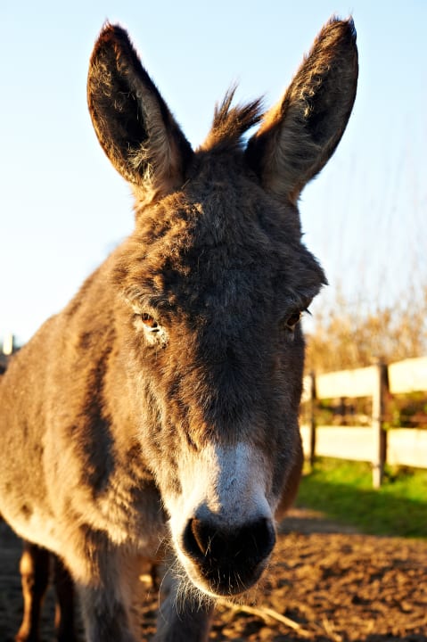 Sonstiges Hotel Katerberg garni