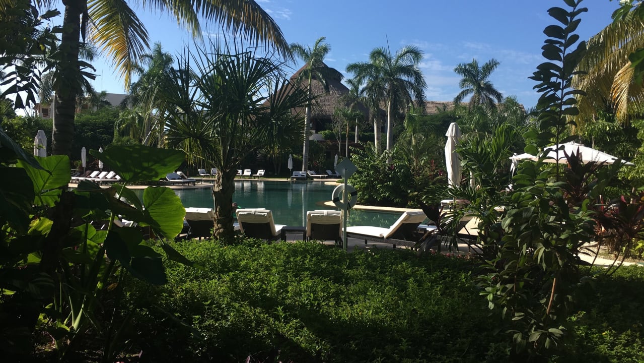 Pool Secrets Akumal Riviera Maya - Adults only