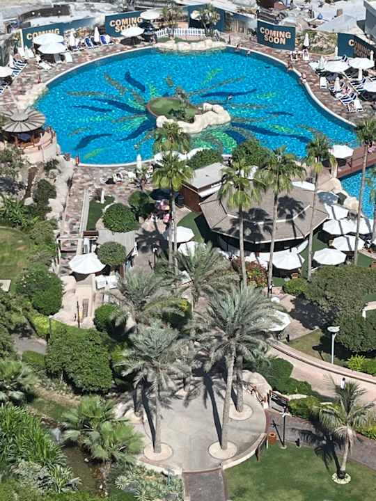 Pool Grand Hyatt Dubai