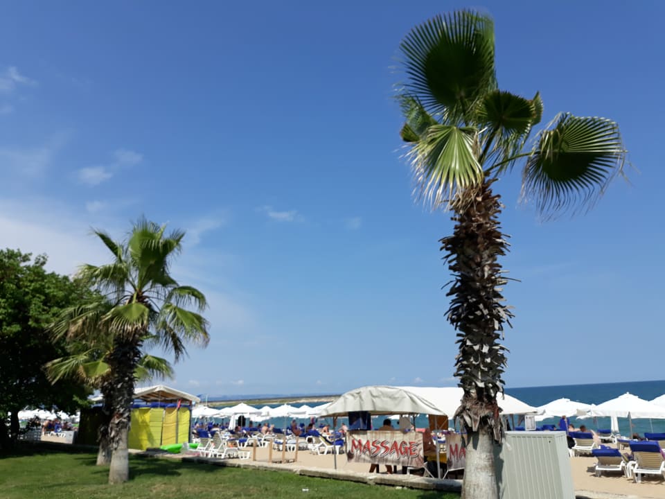 Strand Sentido Marea