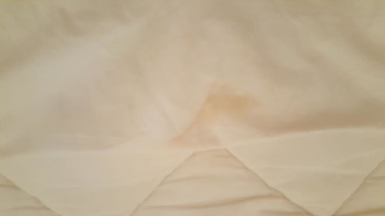 Zimmer Ghazala Gardens