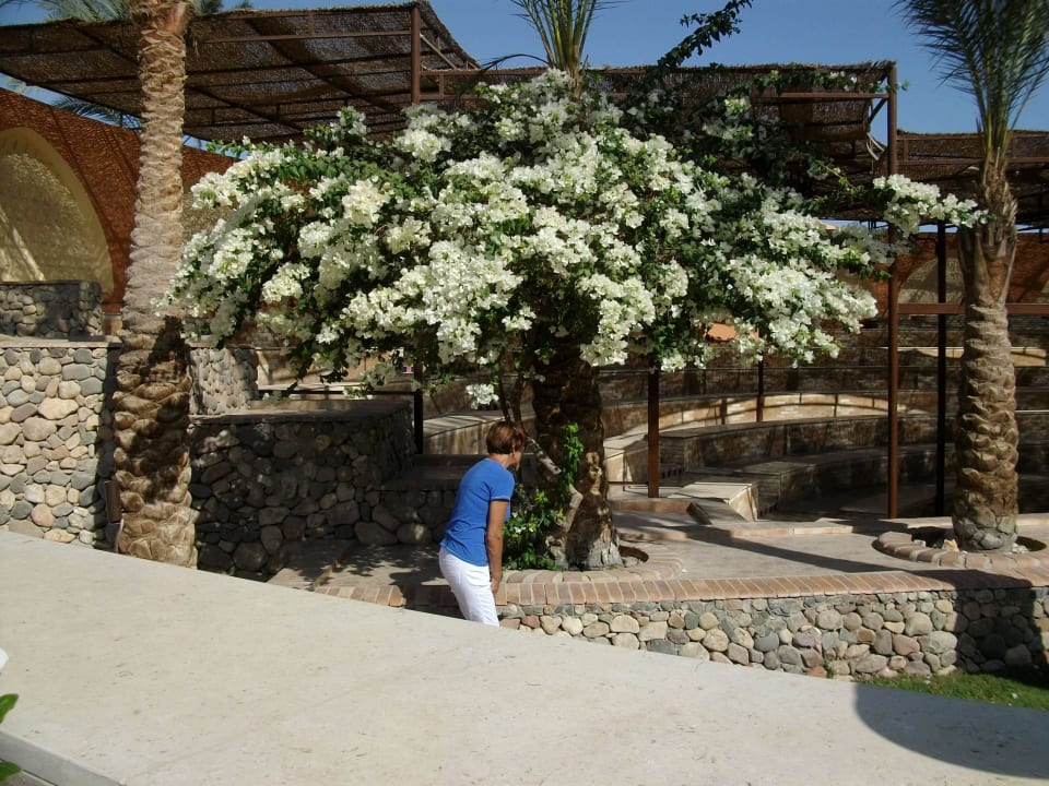 Schöne Farben Jaz Makadi Oasis Resort
