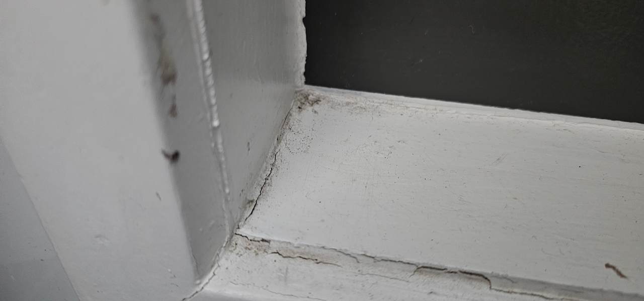 Zimmer Beach Villa's Hoek van Holland