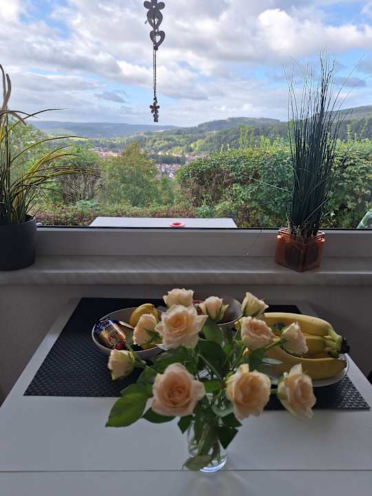 Ausblick Feriendorf am Hundsrück