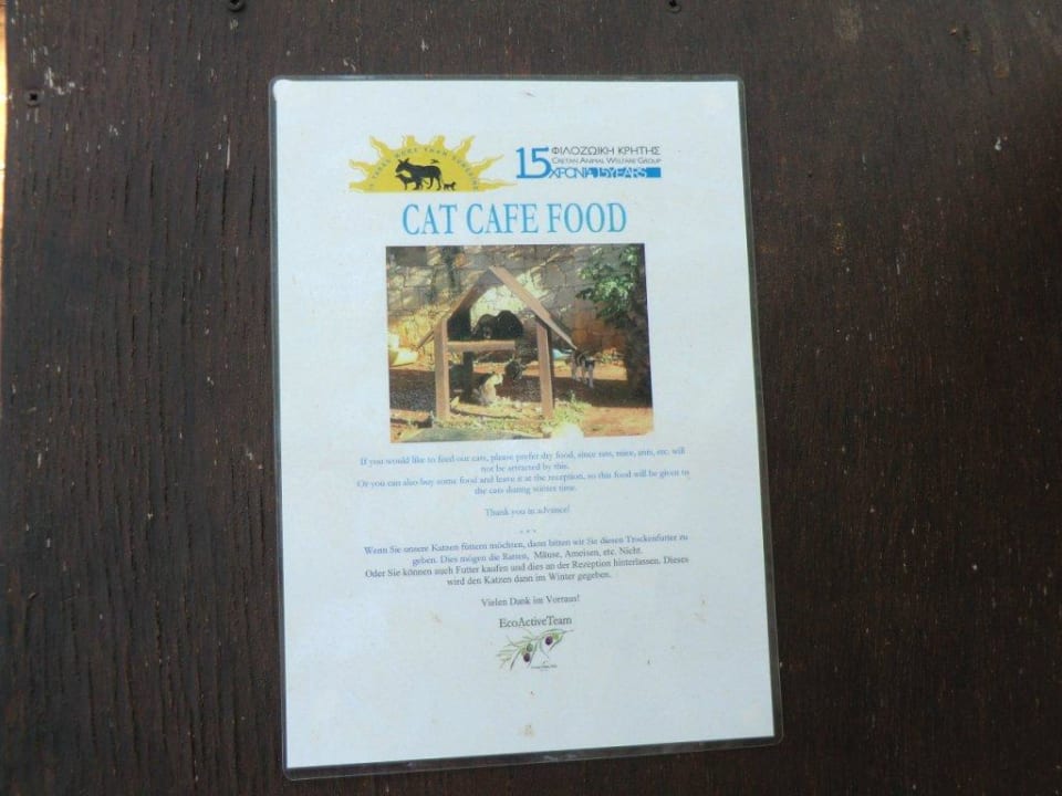 Katzencafe Phãea Cretan Malia