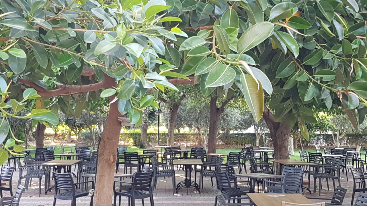 Gastro Hotel Gardenia Beach