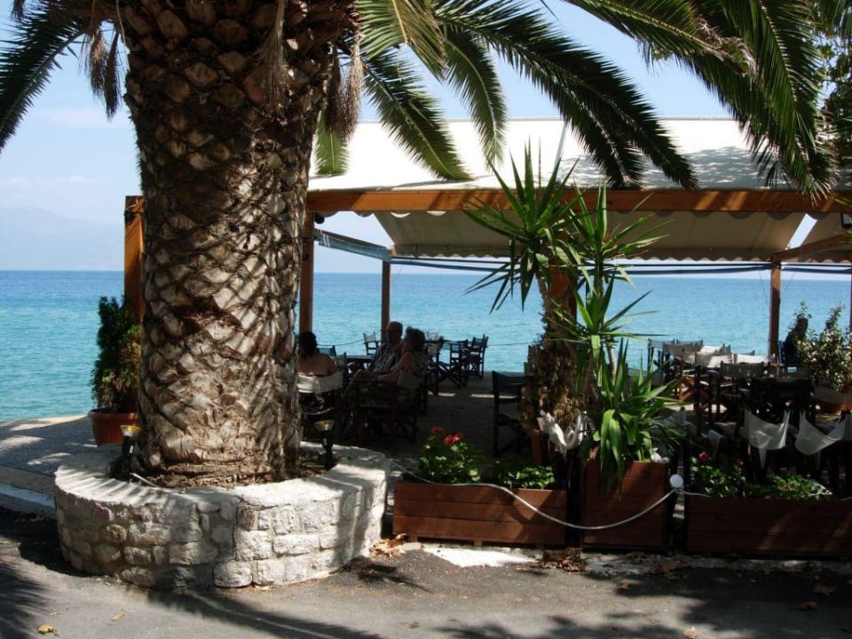 Terrasse Hotel Kanelli Beach
