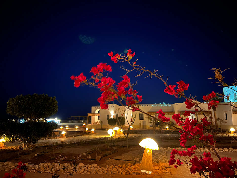 Außenansicht Beach Safari Nubian Resort