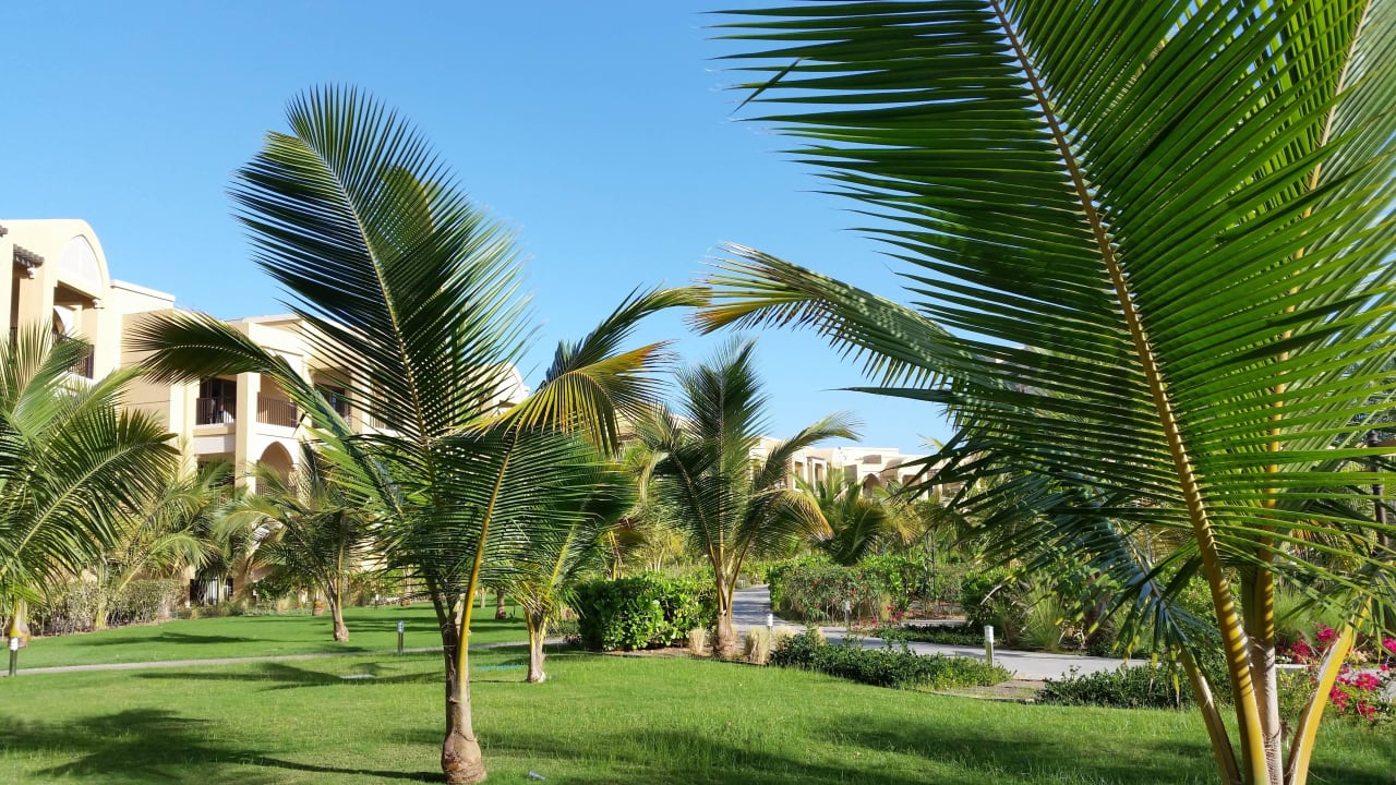 Grünanlage vor den Villen DoubleTree by Hilton Resort & Spa Marjan Island