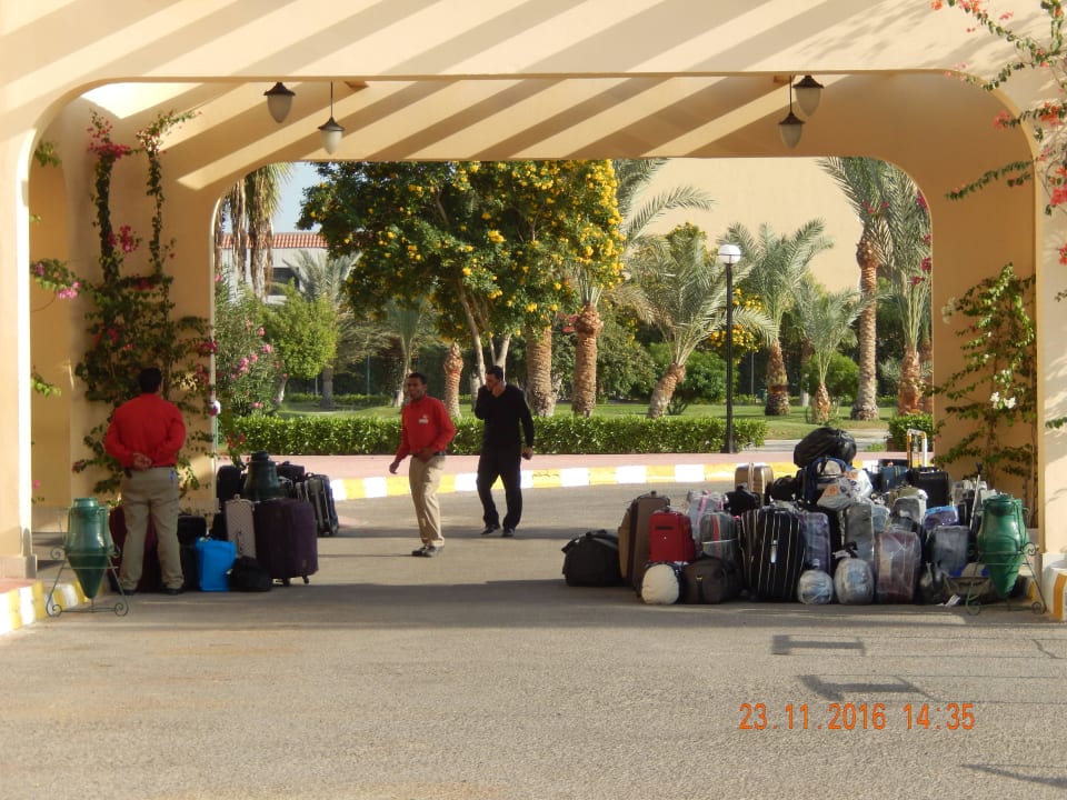 Anreise  Desert Rose