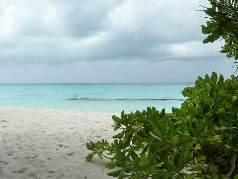 Lagunenseite Kuramathi Maldives