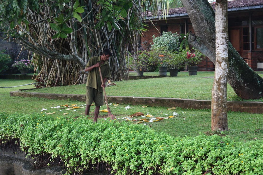 Gartenanlage Barberyn Sands Ayurveda Resort
