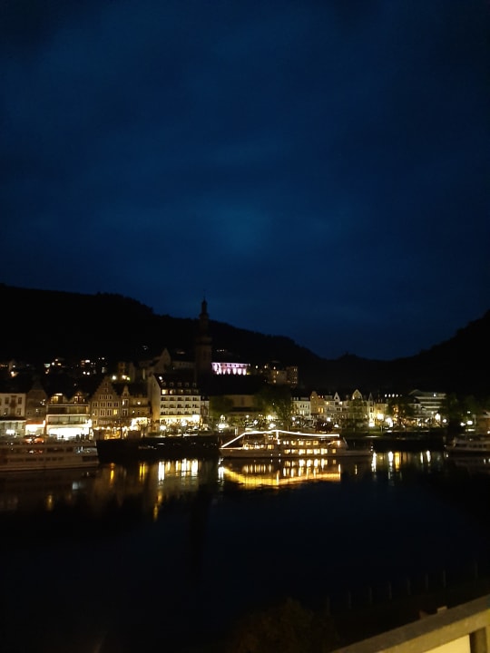 Ausblick Moselstern Hotel Brixiade & Triton