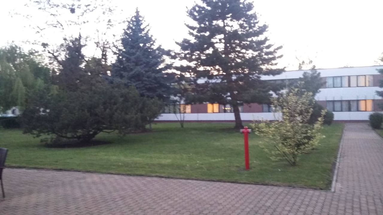 Wewnętrzny ogród Hotel Novotel Wroclaw