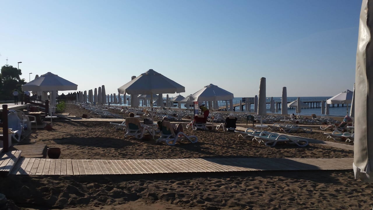 Strand PALOMA Perissia