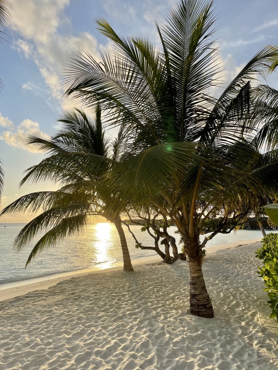 Strand Vilamendhoo Island Resort & Spa