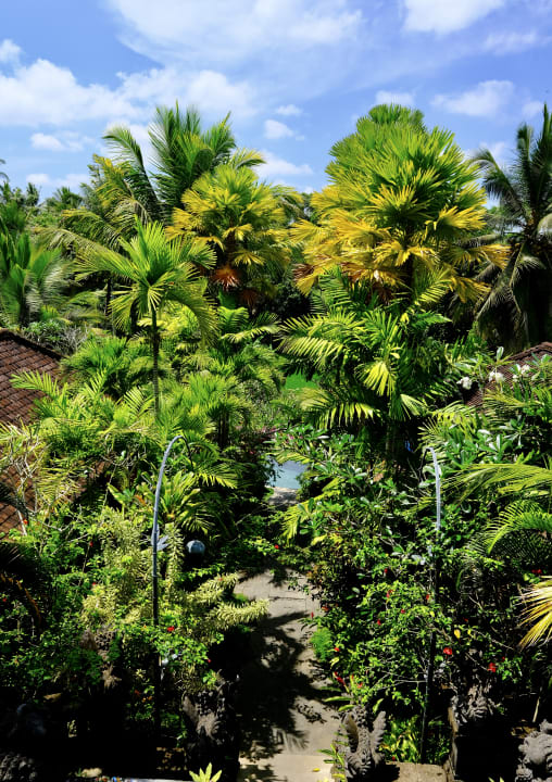 Ausblick Dwaraka The Royal Villas