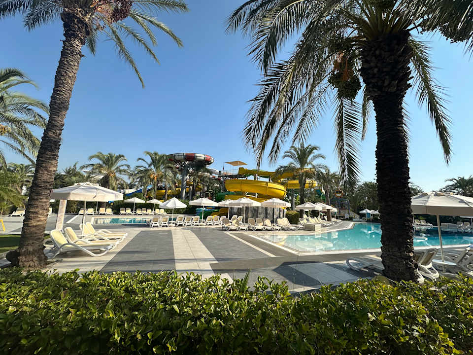 Pool Royal Wings Hotel