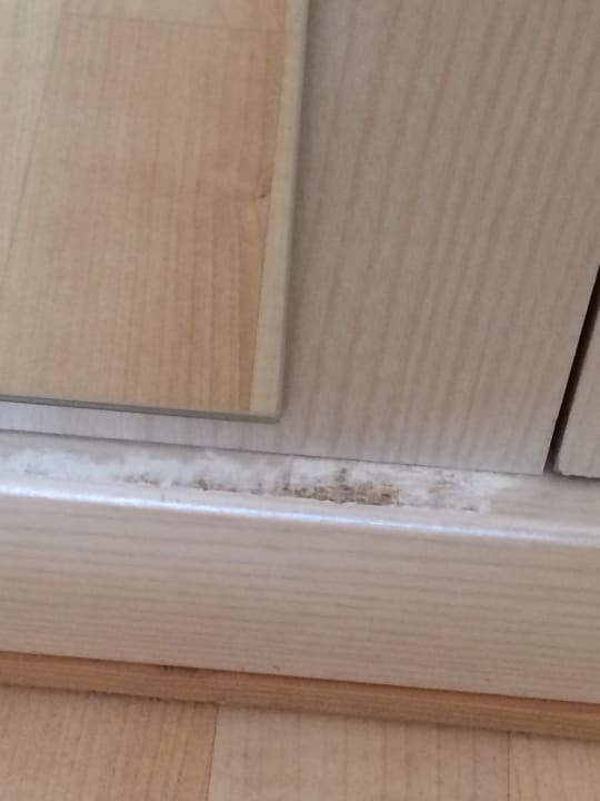 Aktuelle Innenaufnahmen Hotel und Landgasthof Grüner Baum