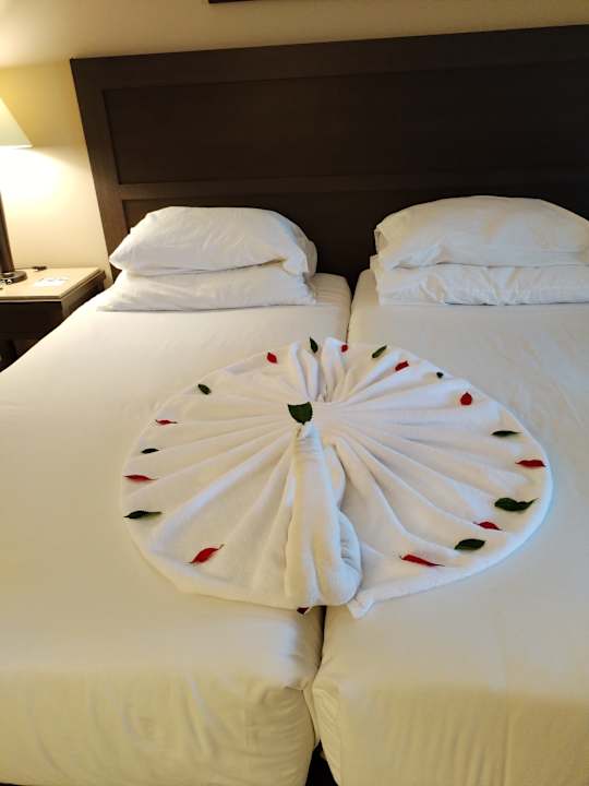 Zimmer Jaz Dar EL Madina