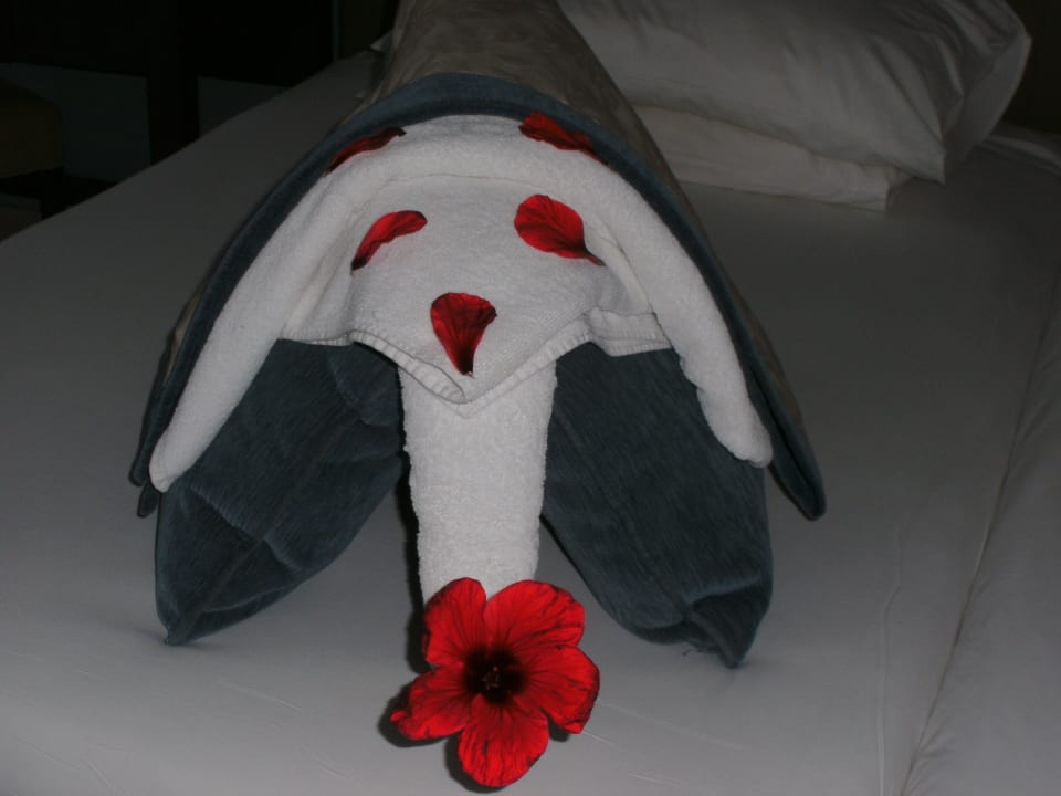 MIT VIEL LIEBE GEMACHT JAZ Aquamarine Resort