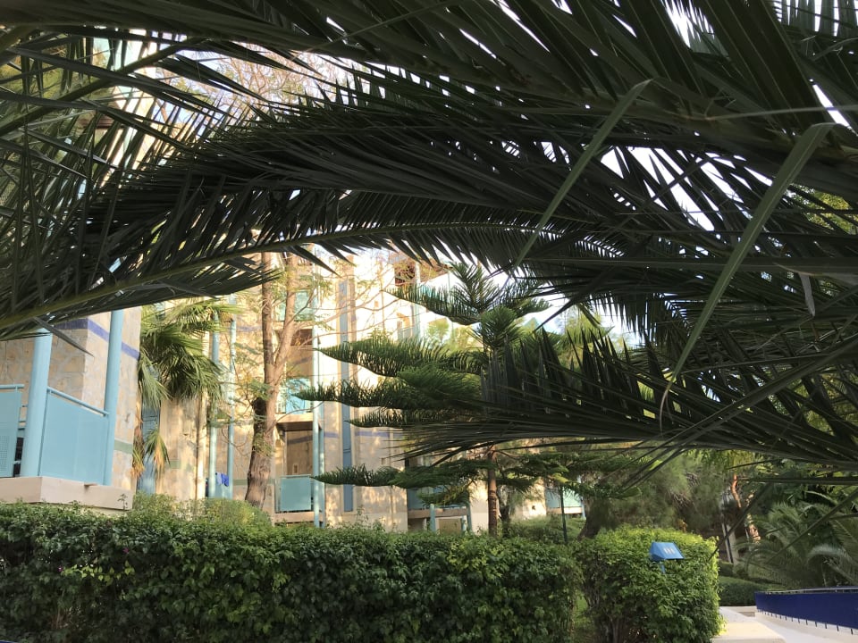 Gartenanlage ROBINSON PAMFILYA