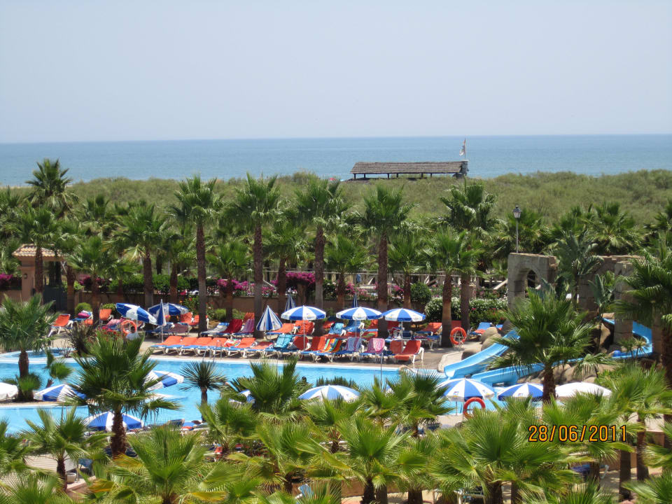 Vista de piscina desde la habitación Playacanela Hotel
