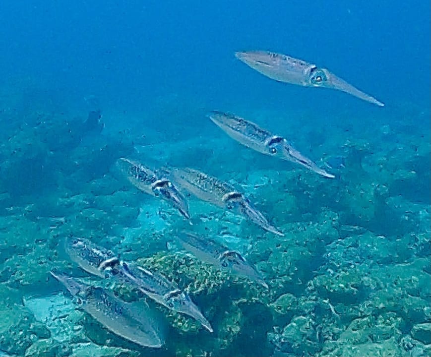 Strand Thulhagiri Island Resort