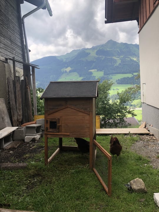 Sonstiges Bauernhof Grussberggut