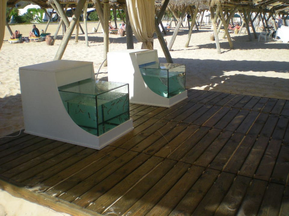 Knabberfische für die Wellness der Füße The Orangers Beach Resort and Bungalows