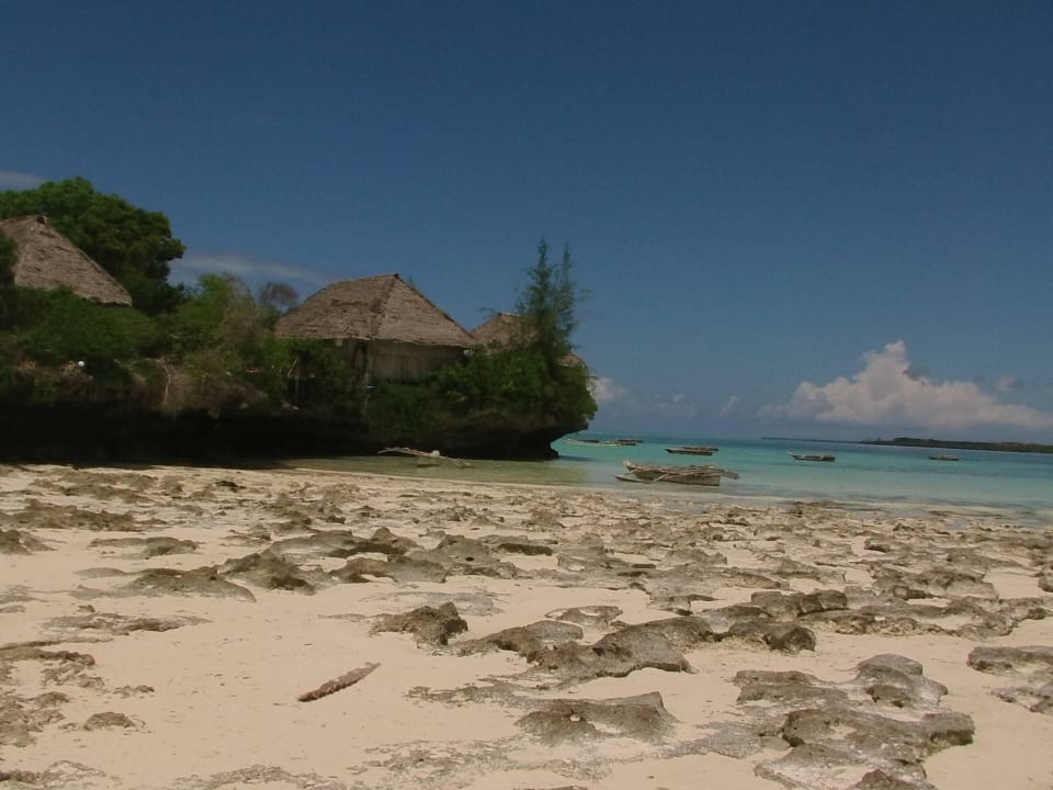 Seitenblick Zanzibar Rock Resort