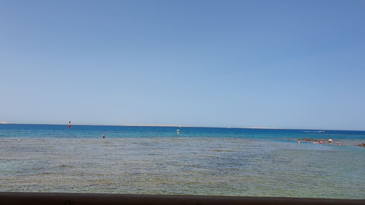 Ausblick Desert Rose