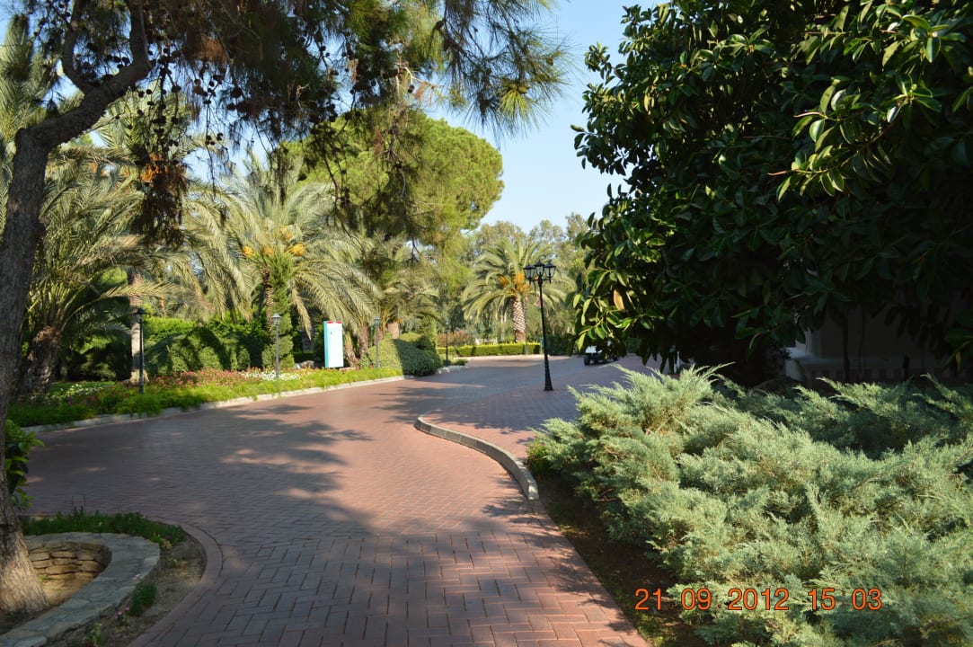 Ogród TUI Magic Life Belek