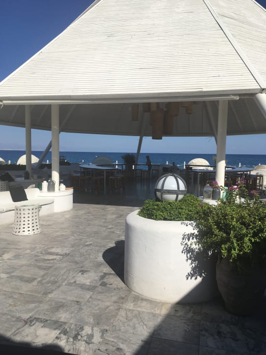 Strand Balmy Foresta