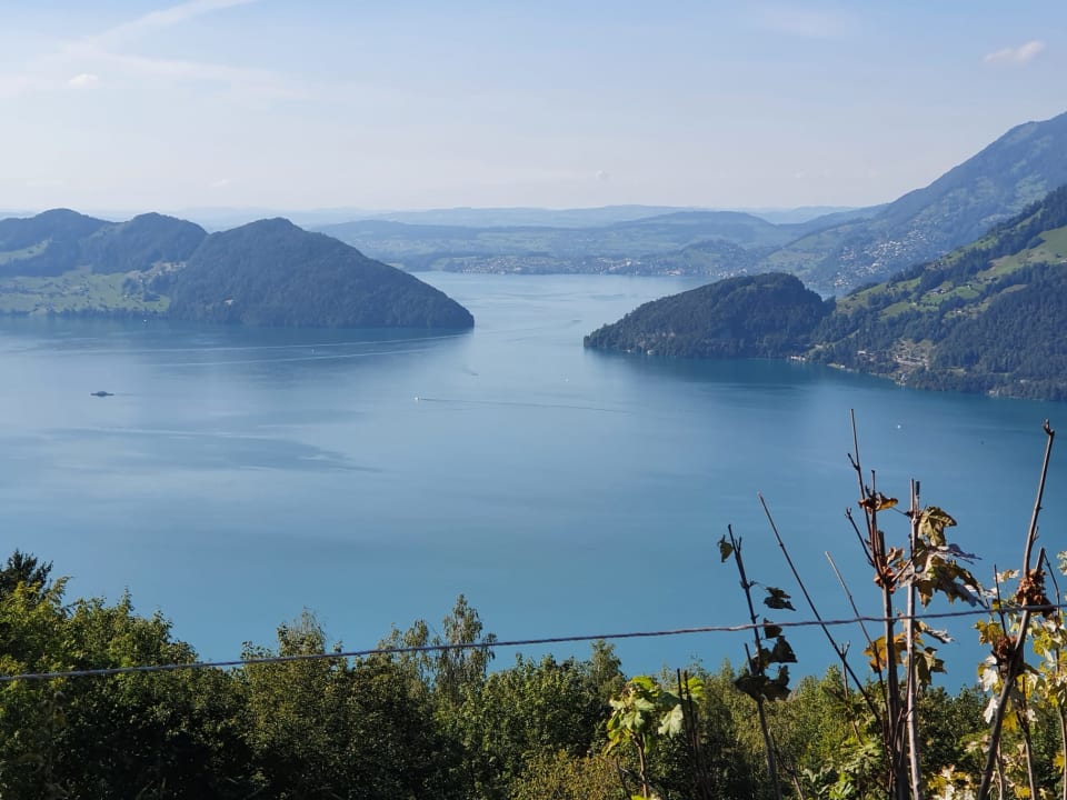 Ausblick Seeblick Höhenhotel