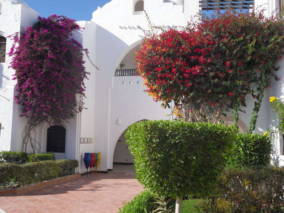 Blütenpracht Arabella Azur Resort