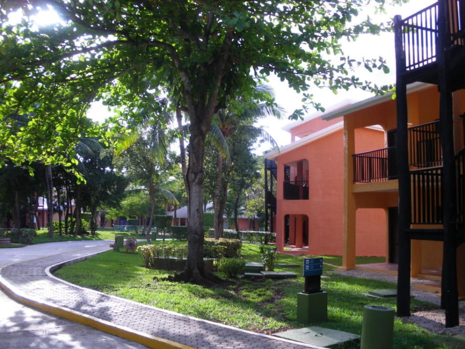 Hotel Hotel Riu Lupita