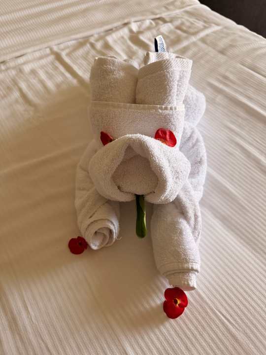 Zimmer Pickalbatros Aqua Blu Resort - Sharm El Sheikh