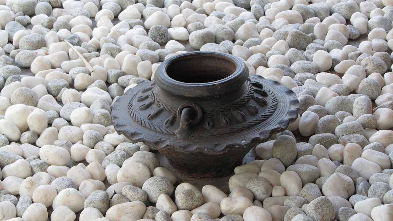 Hotel Devaaya Ayurveda & Nature Cure Centre Mercure Goa Devaaya Retreat