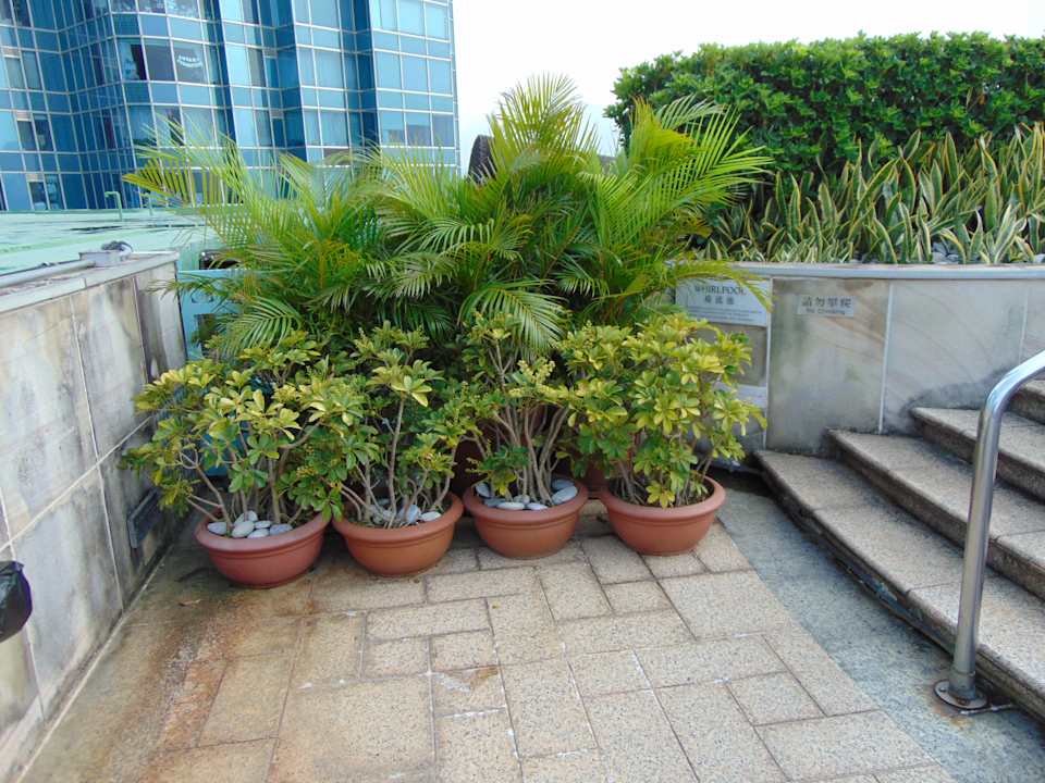 Sonstiges Harbour Grand Kowloon