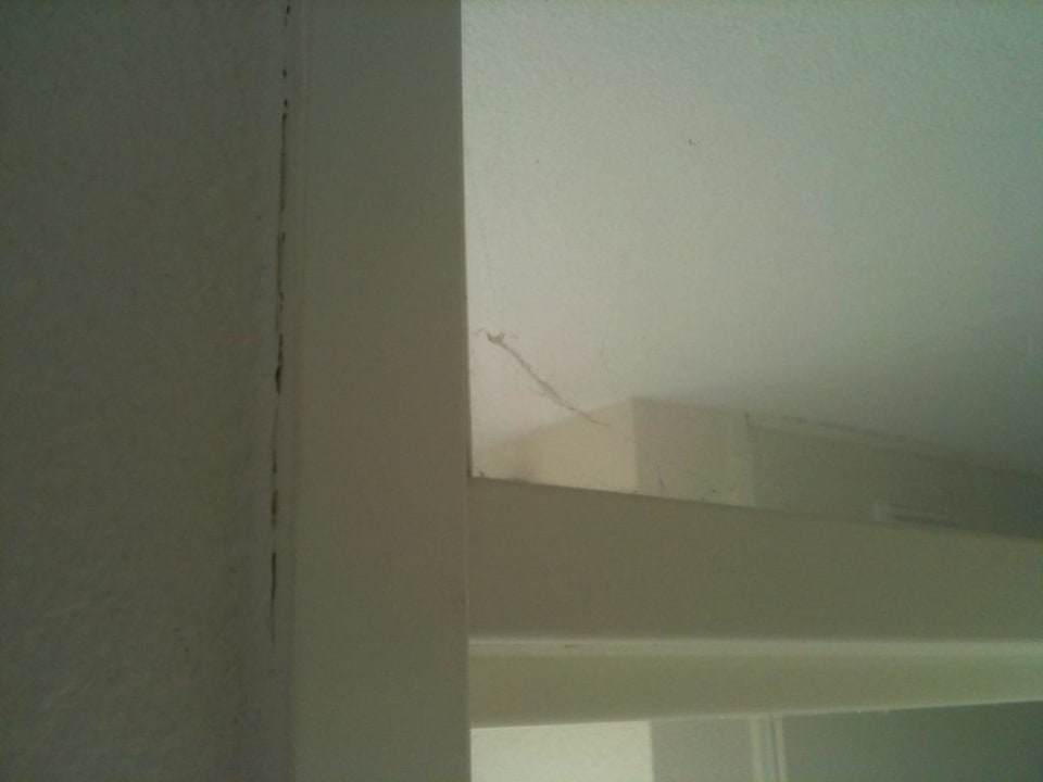 Spinnenweben Center Parcs Park Nordseeküste